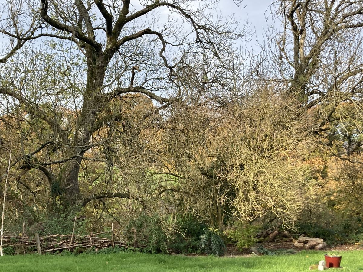 As Summer Turns to Autumn