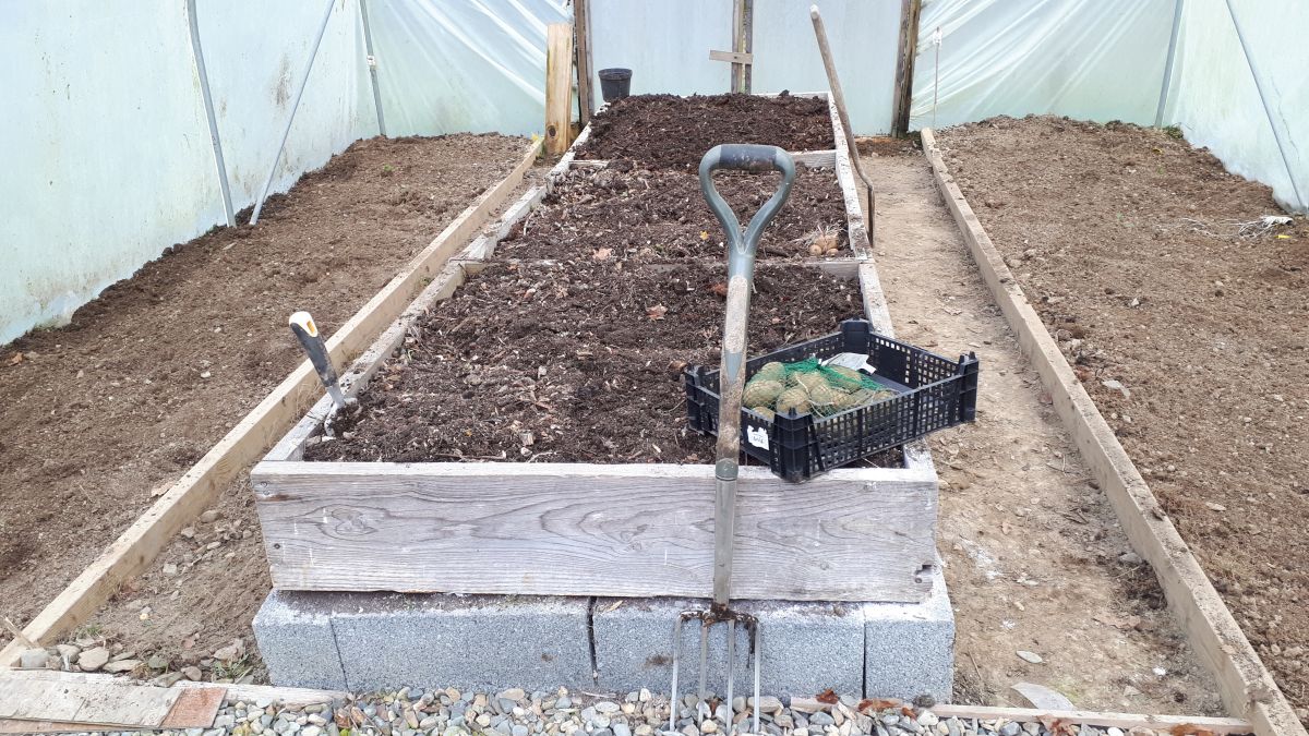 Polytunnel No.2