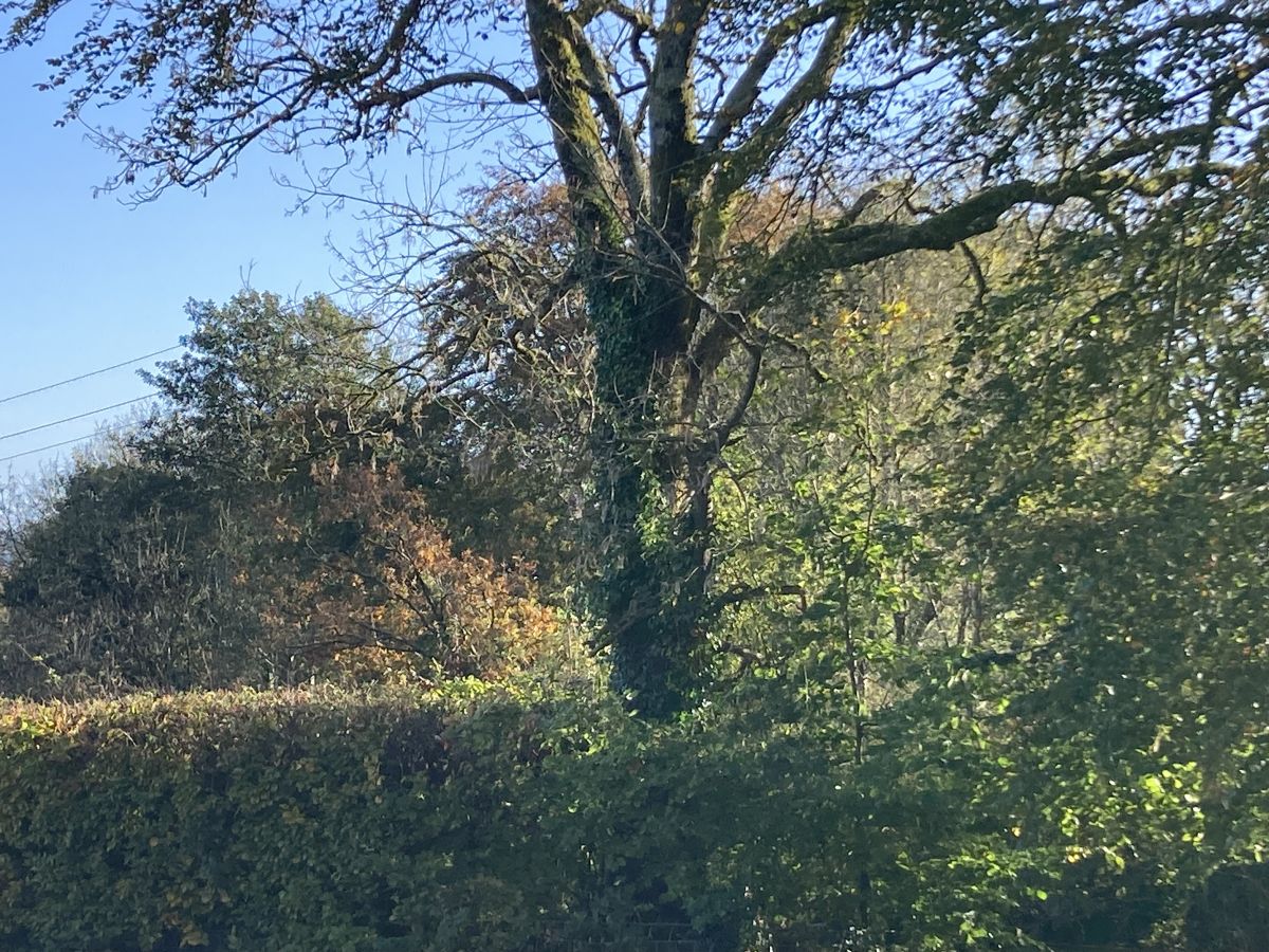 Autumn Time