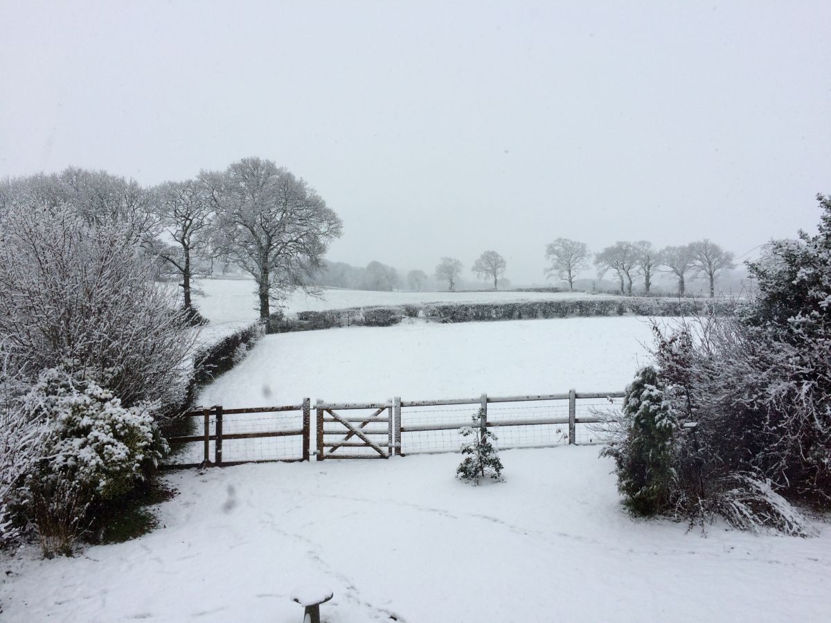 A sky full of snow