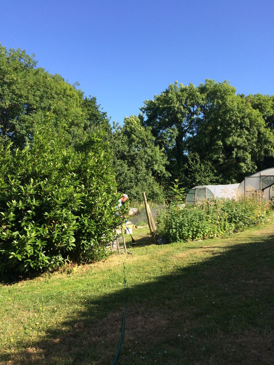 Blue sky smallholding
