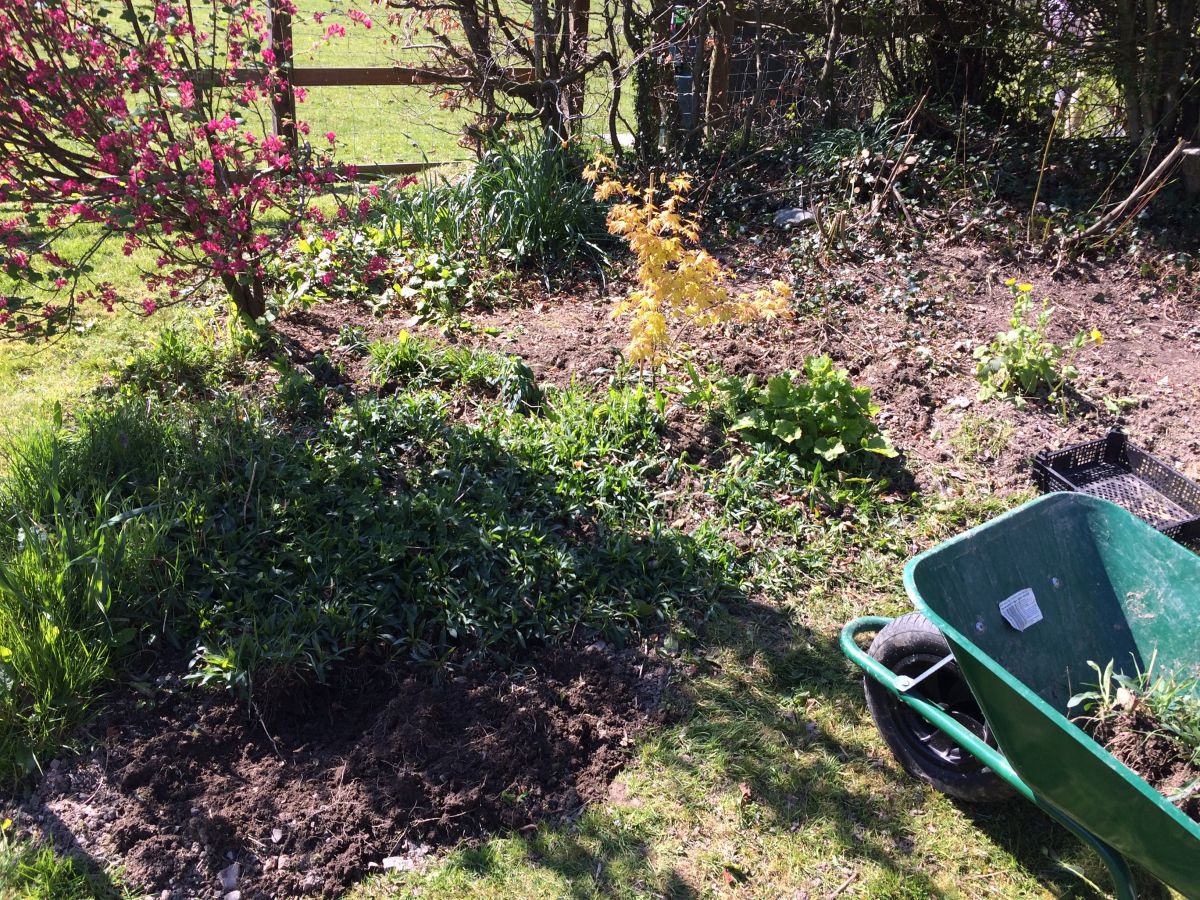 Bit of garden tidying Up