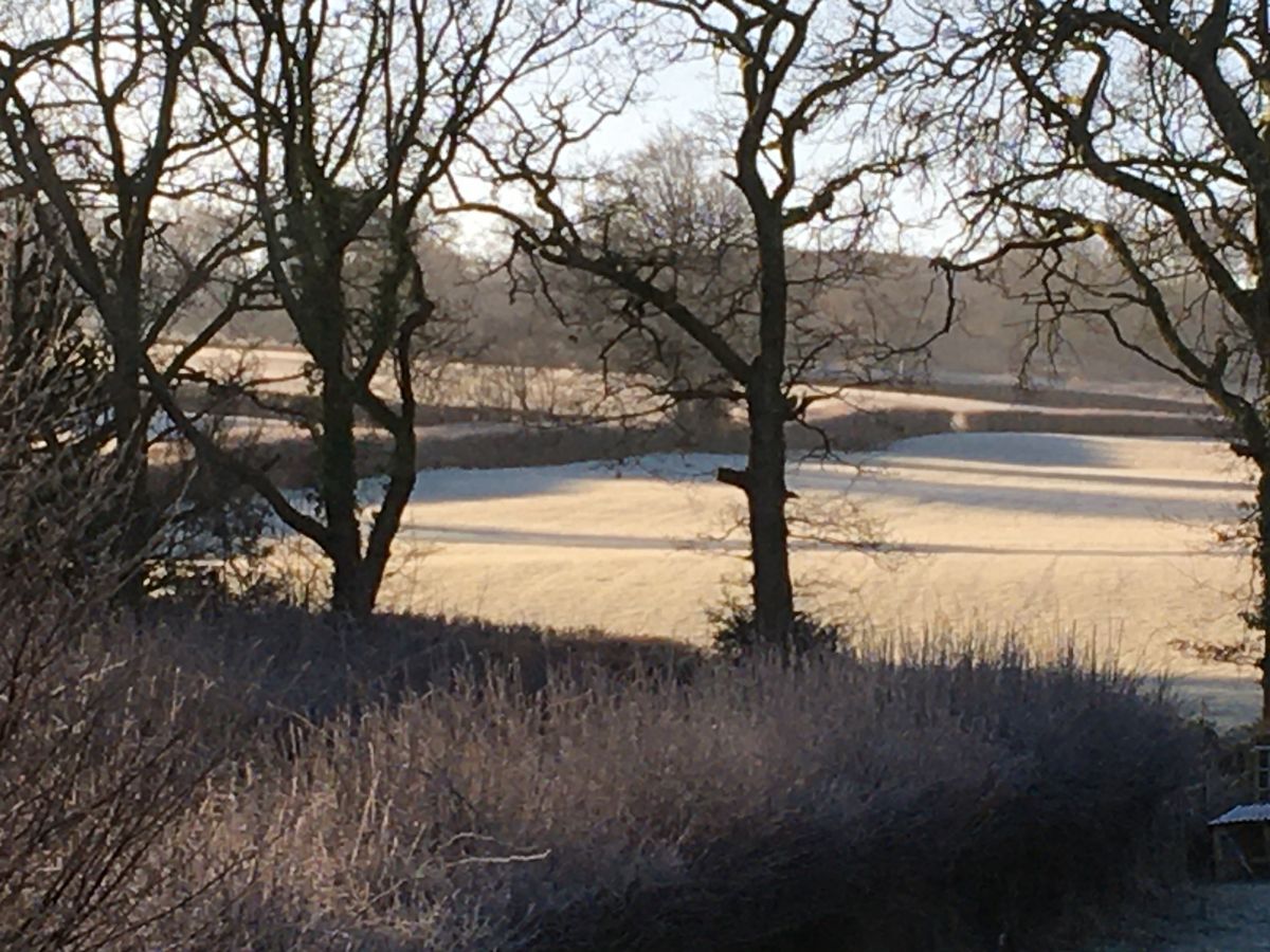 Bright colours on winter's day