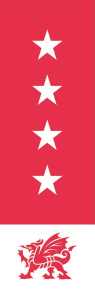 4 stars