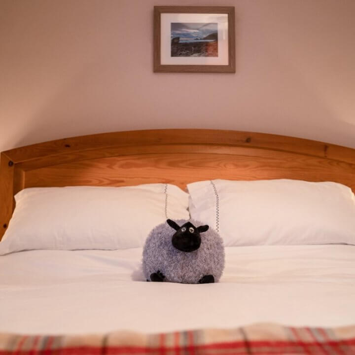 Holiday Accommodation
